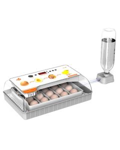 Incubator