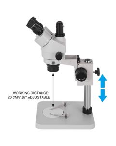 Simul Focal Trinocular Zoom Stereo Microscope