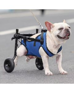 Pet Walk Booster
