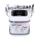 11 in 1 Derma brasion Gesichts maschine