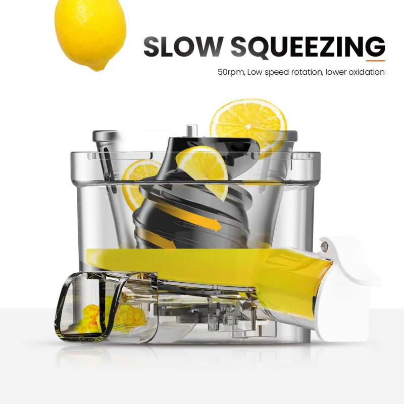 Mini Slow Entsafter