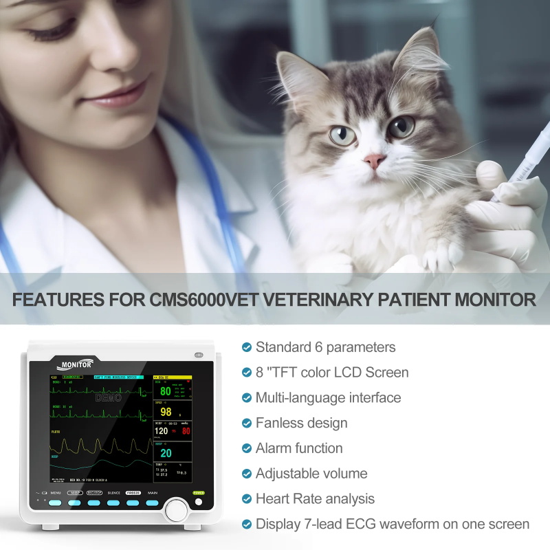 Portable patient monitor
