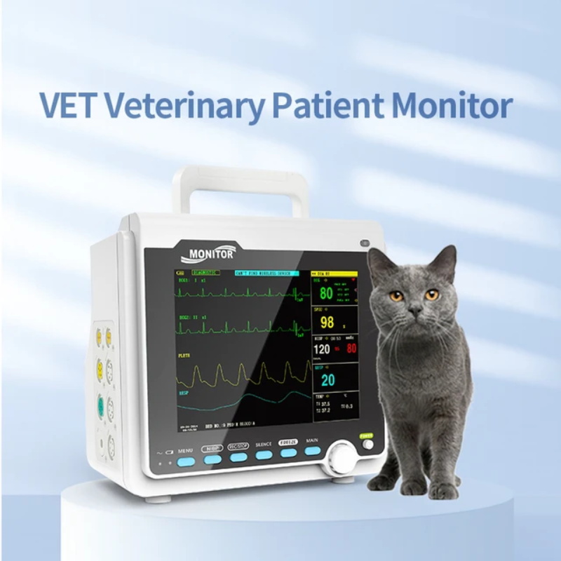 Portable patient monitor