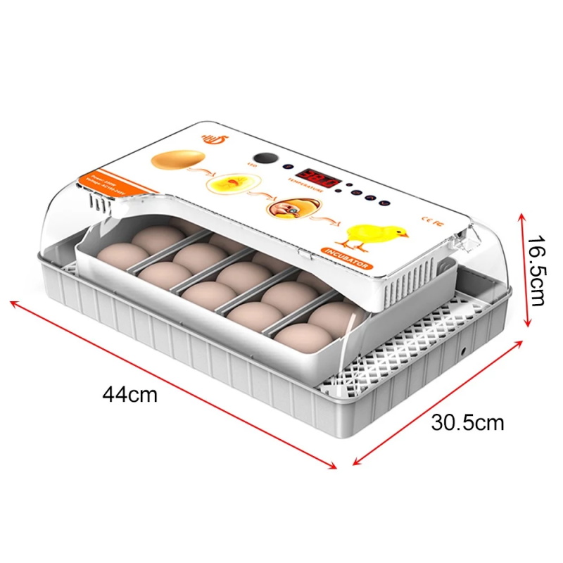Incubator