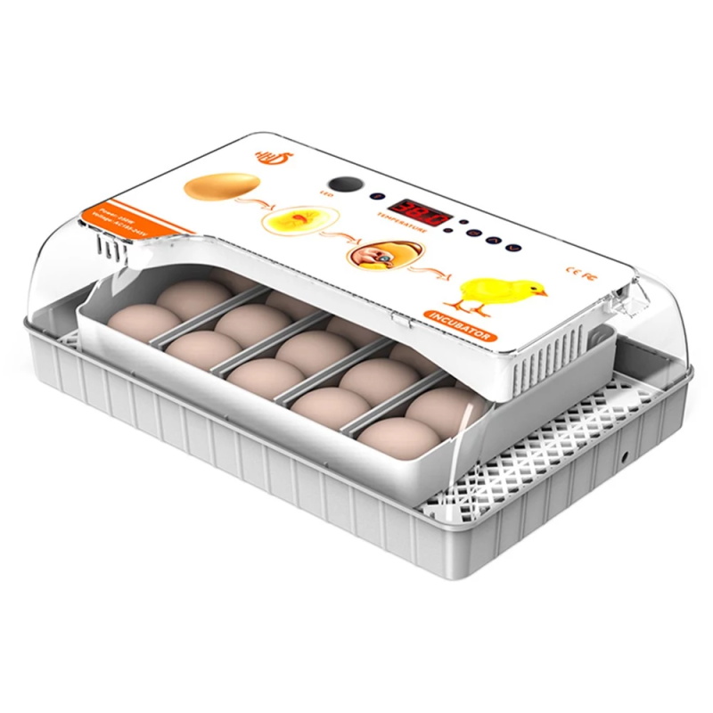 Incubator