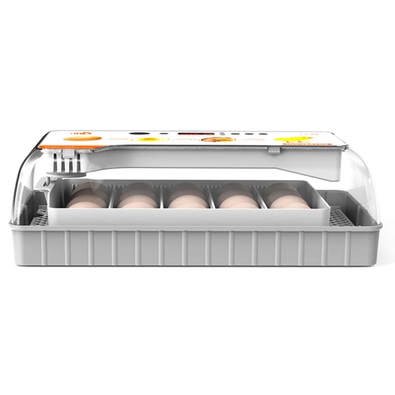Incubator