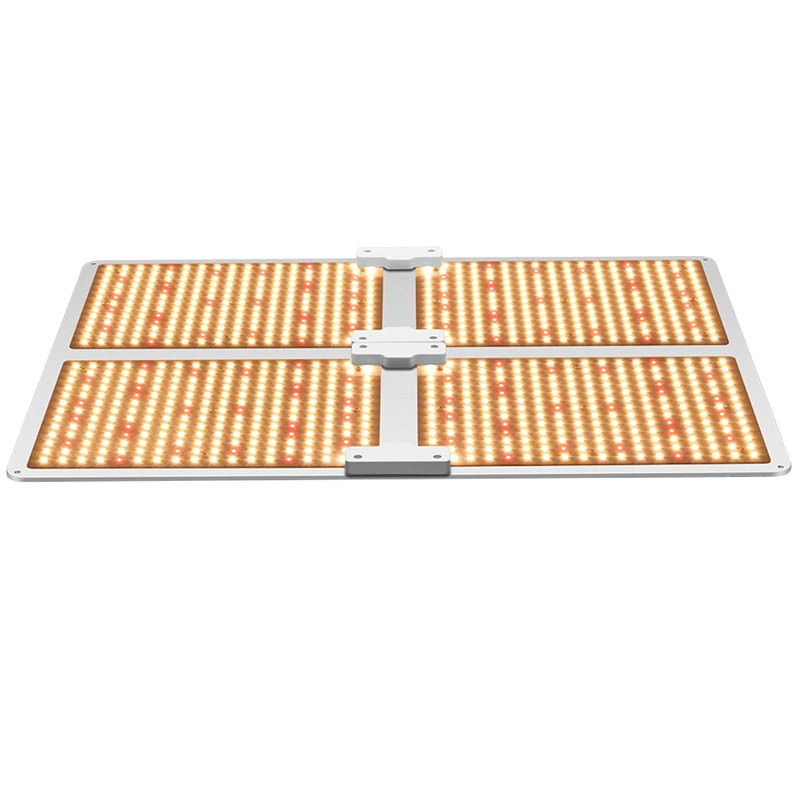 LED Wachsen Lichter