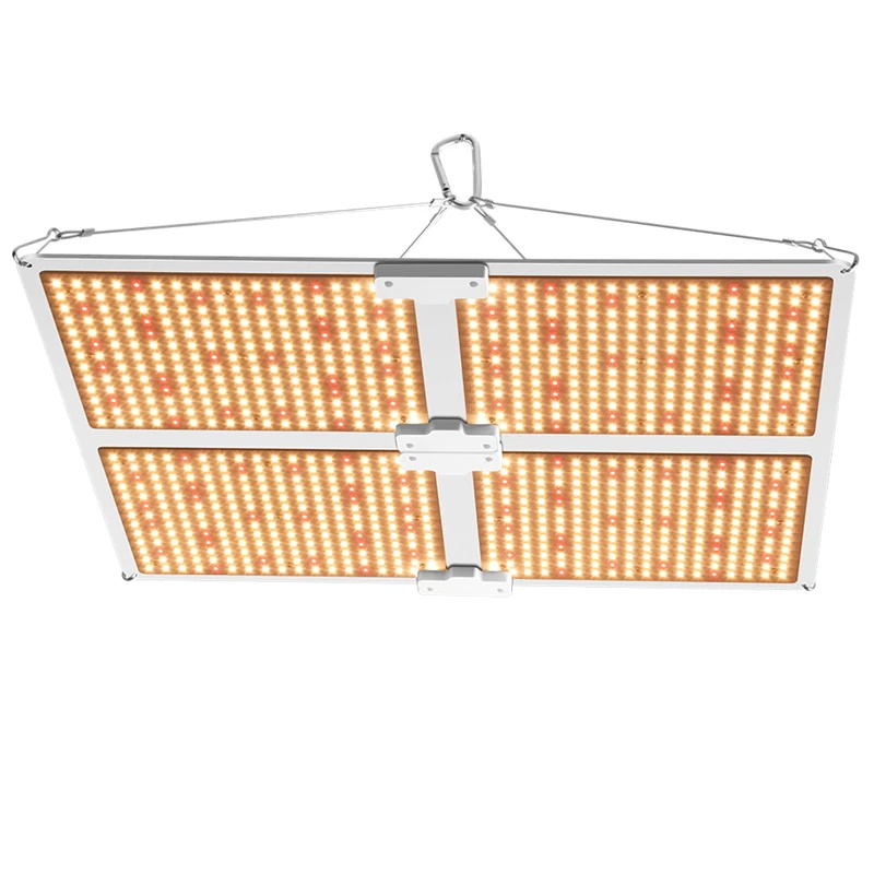 lampes de culture LED